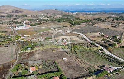 ÇANAKKALE BOZCAADA PAPAZBAHÇE MEVKİİ 10.057 m² SATILIK TARLA 