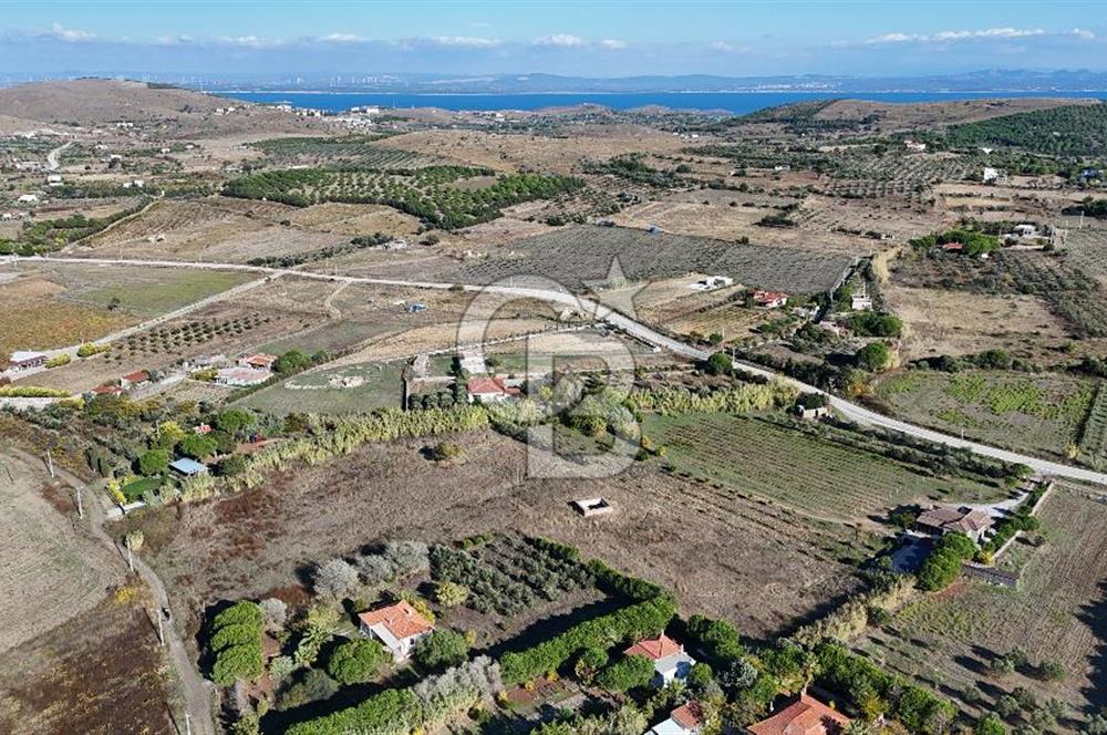 ÇANAKKALE BOZCAADA PAPAZBAHÇE MEVKİİ 10.057 m² SATILIK TARLA 