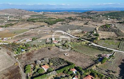 ÇANAKKALE BOZCAADA PAPAZBAHÇE MEVKİİ 10.057 m² SATILIK TARLA 