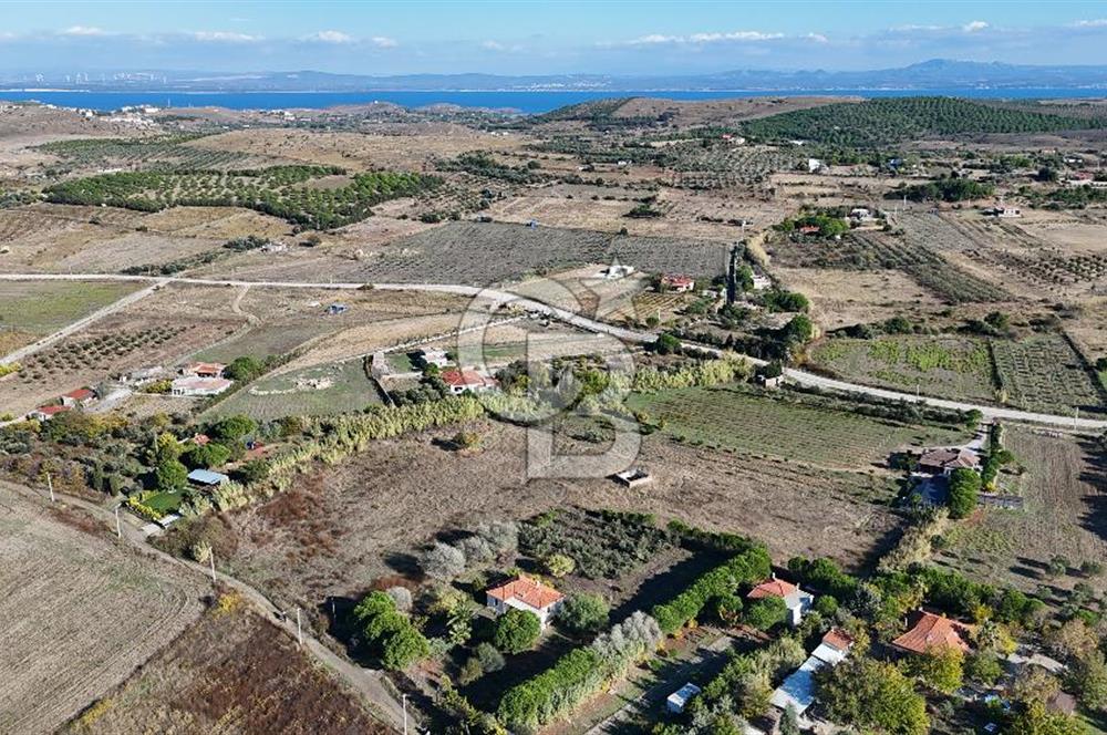 ÇANAKKALE BOZCAADA PAPAZBAHÇE MEVKİİ 10.057 m² SATILIK TARLA 