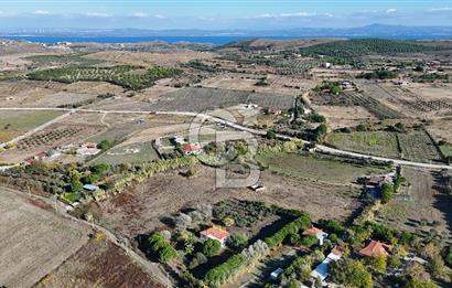 ÇANAKKALE BOZCAADA PAPAZBAHÇE MEVKİİ 10.057 m² SATILIK TARLA 