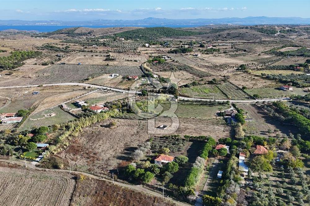 ÇANAKKALE BOZCAADA PAPAZBAHÇE MEVKİİ 10.057 m² SATILIK TARLA 