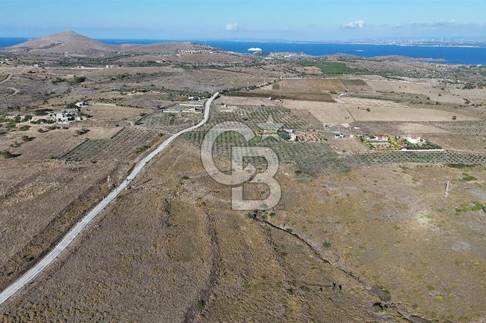 ÇANAKKALE BOZCAADA ALAYBEY MAH. 6.204 m² SATILIK TARLA