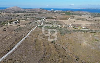 ÇANAKKALE BOZCAADA ALAYBEY MAH. 6.204 m² SATILIK TARLA