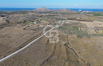 ÇANAKKALE BOZCAADA ALAYBEY MAH. 6.204 m² SATILIK TARLA