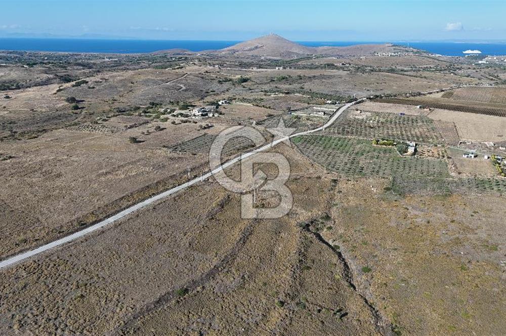 ÇANAKKALE BOZCAADA ALAYBEY MAH. 6.204 m² SATILIK TARLA