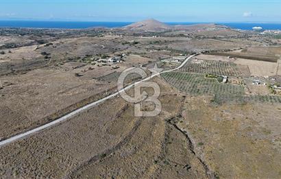 ÇANAKKALE BOZCAADA ALAYBEY MAH. 6.204 m² SATILIK TARLA