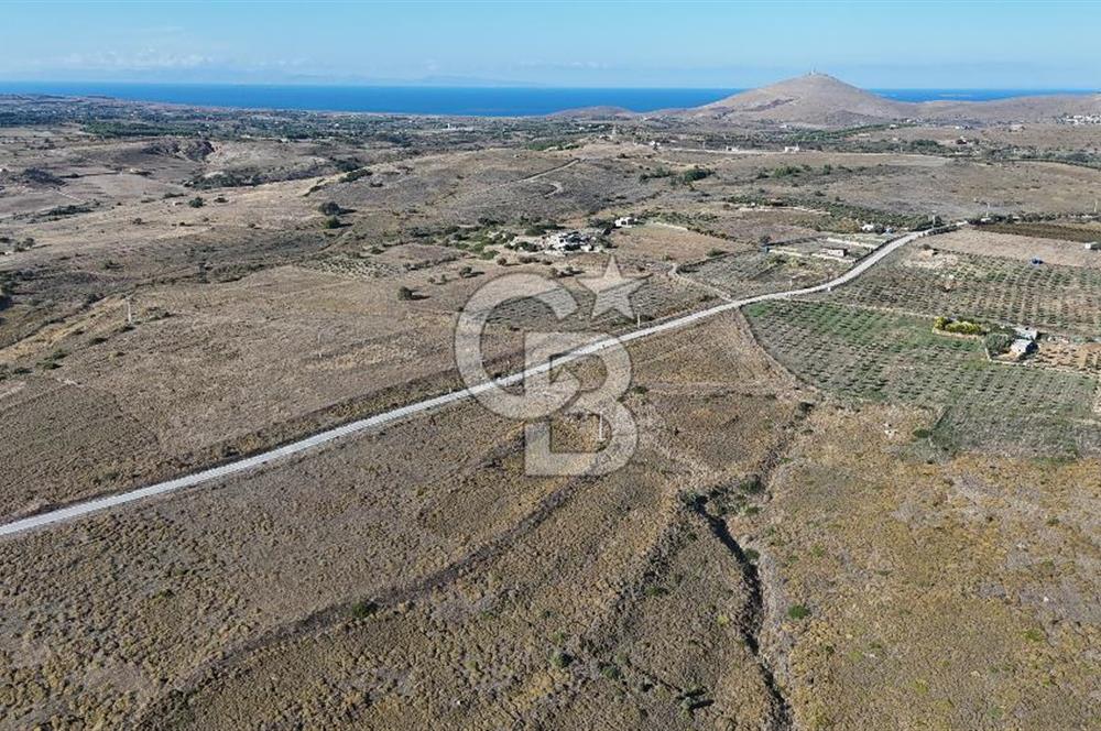 ÇANAKKALE BOZCAADA ALAYBEY MAH. 6.204 m² SATILIK TARLA