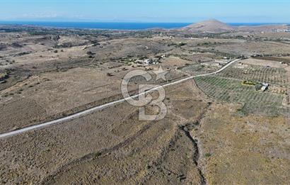 ÇANAKKALE BOZCAADA ALAYBEY MAH. 6.204 m² SATILIK TARLA