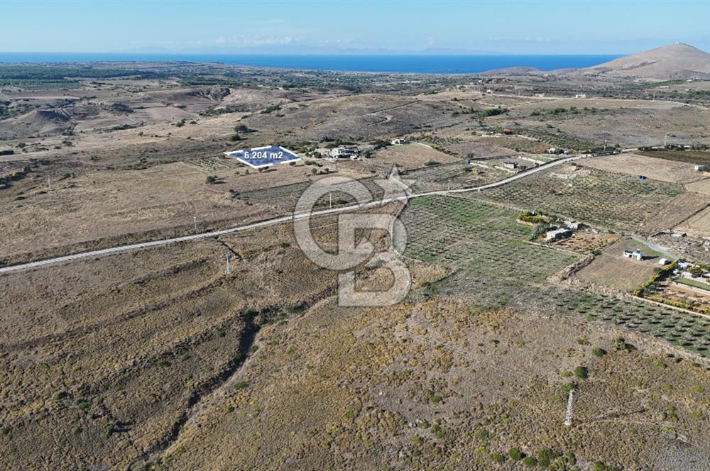 ÇANAKKALE BOZCAADA ALAYBEY MAH. 6.204 m² SATILIK TARLA
