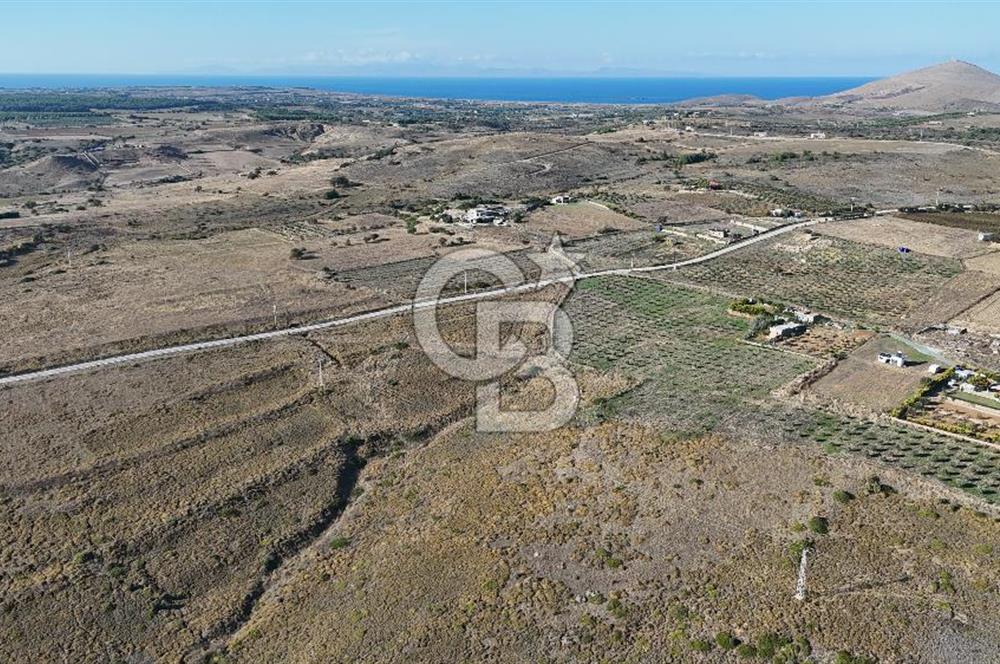 ÇANAKKALE BOZCAADA ALAYBEY MAH. 6.204 m² SATILIK TARLA