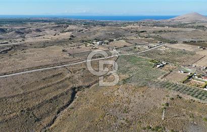 ÇANAKKALE BOZCAADA ALAYBEY MAH. 6.204 m² SATILIK TARLA