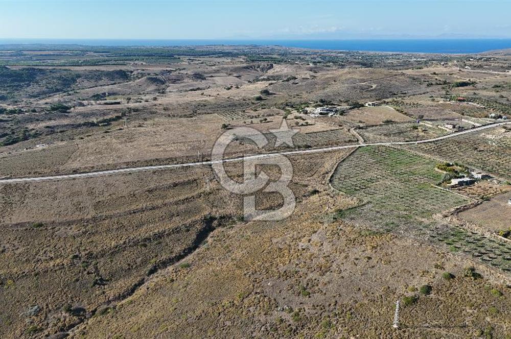 ÇANAKKALE BOZCAADA ALAYBEY MAH. 6.204 m² SATILIK TARLA
