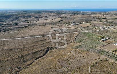 ÇANAKKALE BOZCAADA ALAYBEY MAH. 6.204 m² SATILIK TARLA