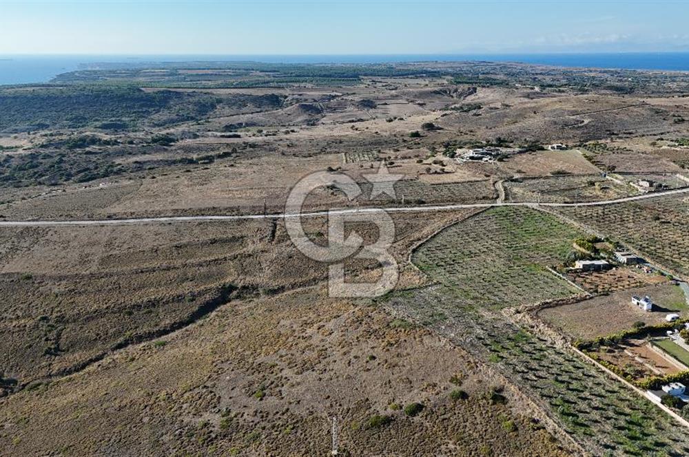 ÇANAKKALE BOZCAADA ALAYBEY MAH. 6.204 m² SATILIK TARLA