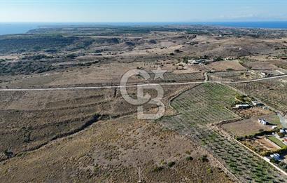 ÇANAKKALE BOZCAADA ALAYBEY MAH. 6.204 m² SATILIK TARLA