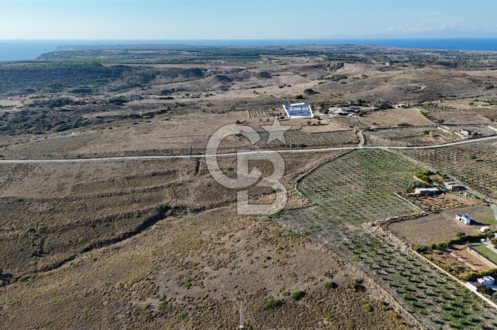 ÇANAKKALE BOZCAADA ALAYBEY MAH. 6.204 m² SATILIK TARLA
