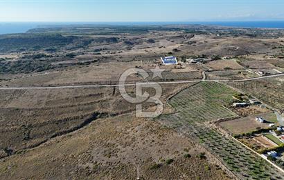 ÇANAKKALE BOZCAADA ALAYBEY MAH. 6.204 m² SATILIK TARLA