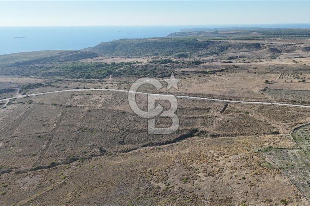 ÇANAKKALE BOZCAADA ALAYBEY MAH. 6.204 m² SATILIK TARLA