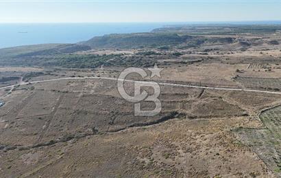 ÇANAKKALE BOZCAADA ALAYBEY MAH. 6.204 m² SATILIK TARLA
