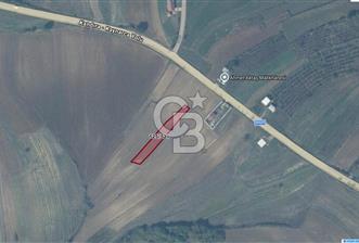 KANDIRA BALCI KÖYÜ SATILIK TARLA - 4 - 378568