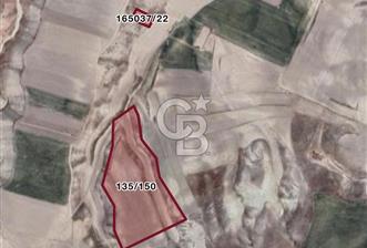 ANKARA GÜDÜL GÜNEYCE’DE GELECEĞE YATIRIM FIRSATI! - 10 - 378534