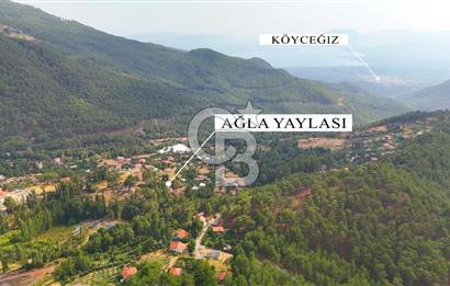 Köyceğiz Ağla Yaylası'nda Satılık, İki Ayrı 3+1 Evi Bulunan Özel Mülk