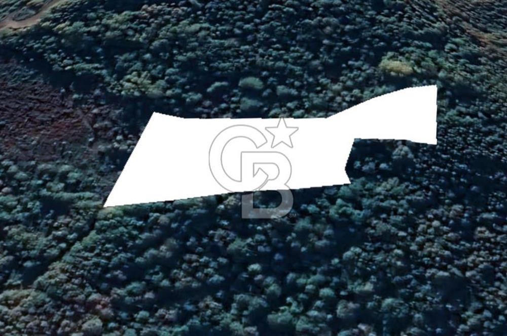 GÖLCÜK İRŞADİYE SATILIK ARSA (8714 m2)