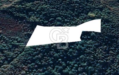 GÖLCÜK İRŞADİYE SATILIK ARSA (8714 m2)