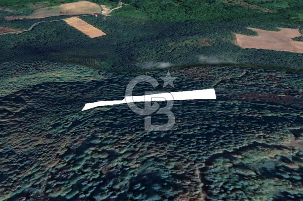 GÖLCÜK İRŞADİYE SATILIK ARSA (8714 m2)