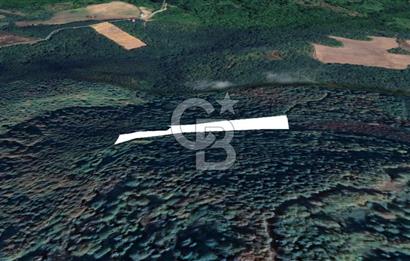 GÖLCÜK İRŞADİYE SATILIK ARSA (8714 m2)