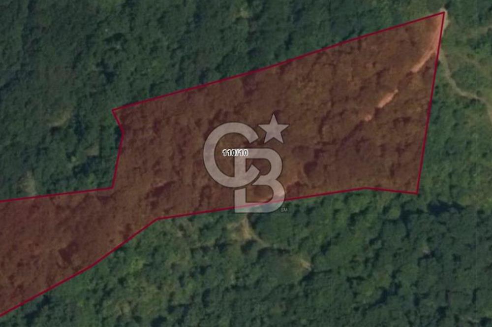 GÖLCÜK İRŞADİYE SATILIK ARSA (8714 m2)