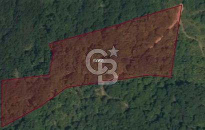 GÖLCÜK İRŞADİYE SATILIK ARSA (8714 m2)