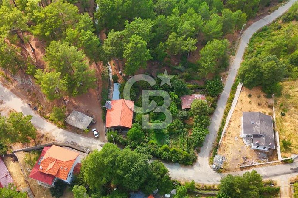 Köyceğiz Ağla Yaylası'nda Satılık, İki Ayrı 3+1 Evi Bulunan Özel Mülk