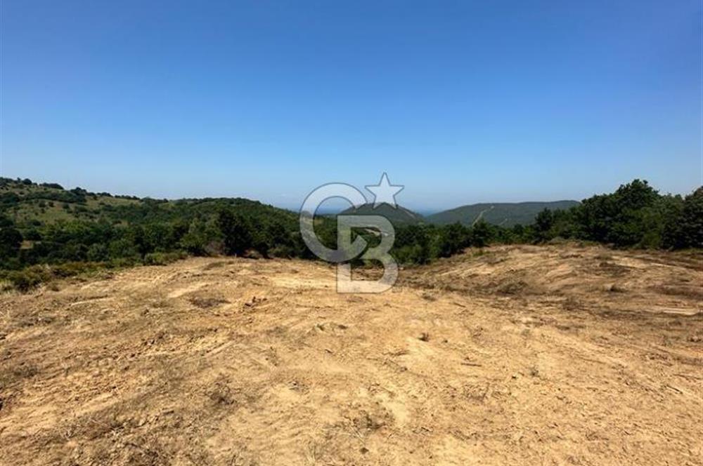 LAPSEKİ GÜRECİ KÖYÜNE YAKIN 4305 MT2 TEK TAPU ARSA