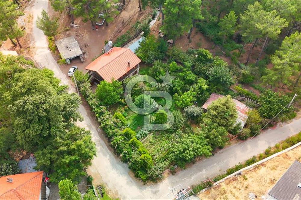Köyceğiz Ağla Yaylası'nda Satılık, İki Ayrı 3+1 Evi Bulunan Özel Mülk