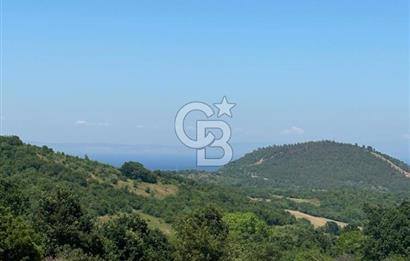 LAPSEKİ GÜRECİ KÖYÜNE YAKIN 4305 MT2 TEK TAPU ARSA