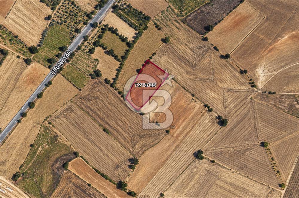 SİVRİHİSAR KAYMAZ'DA ANA YOLA YAKIN 5.696 M² YATIRIMLIK TARLA