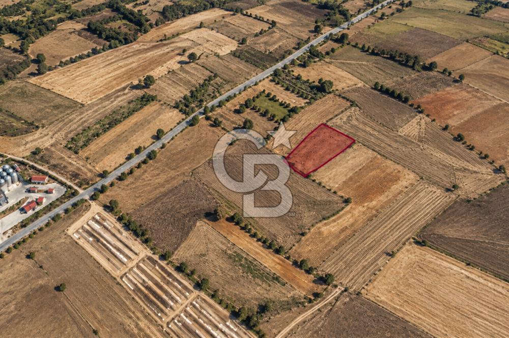 SİVRİHİSAR KAYMAZ'DA ANA YOLA YAKIN 5.696 M² YATIRIMLIK TARLA