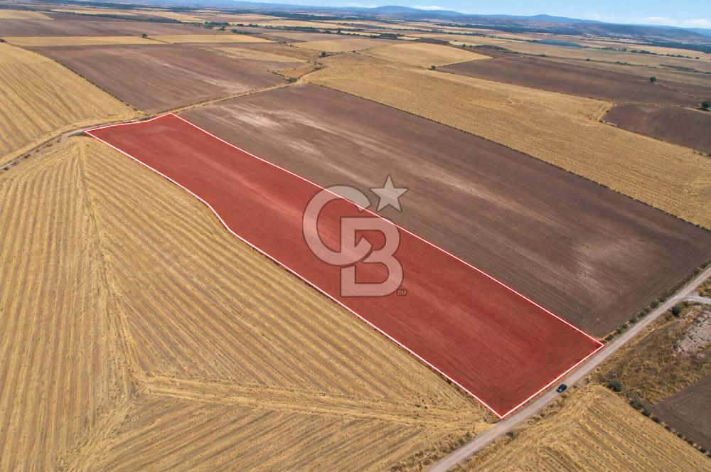 Sivrihisar Paşakadın'da 21.372,90 m² Tek Tapu Yatırımlık Tarla