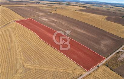 Sivrihisar Paşakadın'da 21.372,90 m² Tek Tapu Yatırımlık Tarla