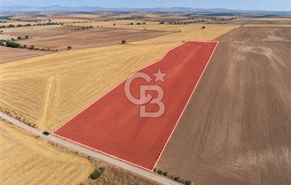 Sivrihisar Paşakadın'da 21.372,90 m² Tek Tapu Yatırımlık Tarla