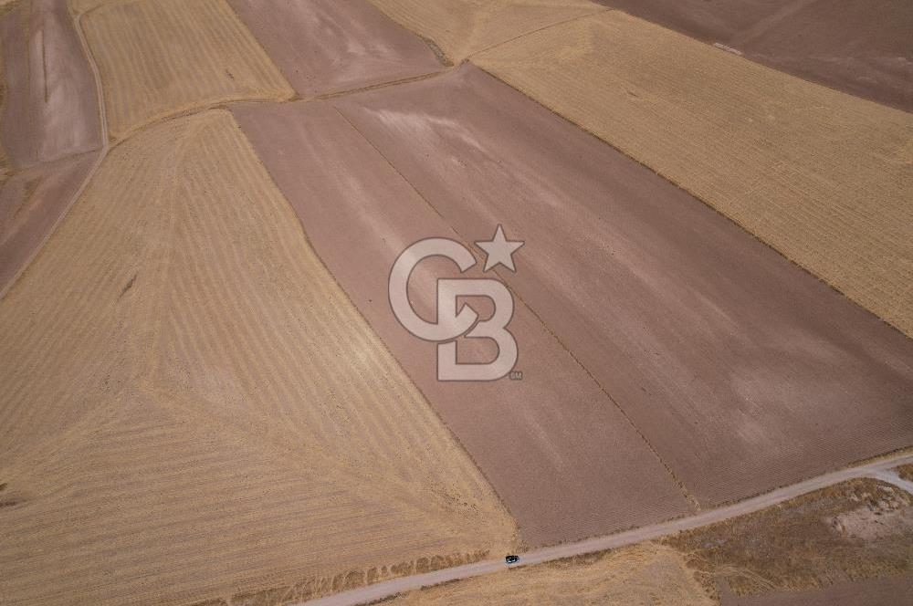 Sivrihisar Paşakadın'da 21.372,90 m² Tek Tapu Yatırımlık Tarla