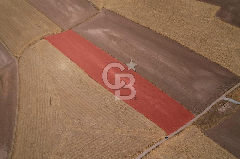 Sivrihisar Paşakadın'da 21.372,90 m² Tek Tapu Yatırımlık Tarla