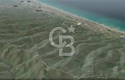 CB ENVOY SAKARYA KOCAALİ CAFERİYE 6976,56 M² ARSA-TARLA