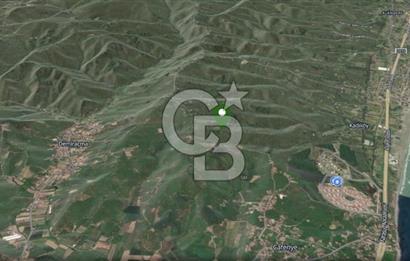 CB ENVOY SAKARYA KOCAALİ CAFERİYE 6976,56 M² ARSA-TARLA