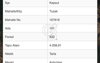 BALIKESİR KEPSUTDA SATILIK TEK TAPU TARLA