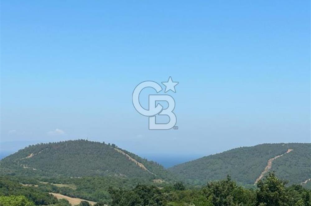 LAPSEKİ GÜRECİ KÖYÜNE YAKIN 4305 MT2 TEK TAPU ARSA