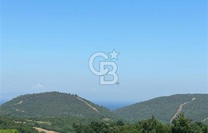 LAPSEKİ GÜRECİ KÖYÜNE YAKIN 4305 MT2 TEK TAPU ARSA