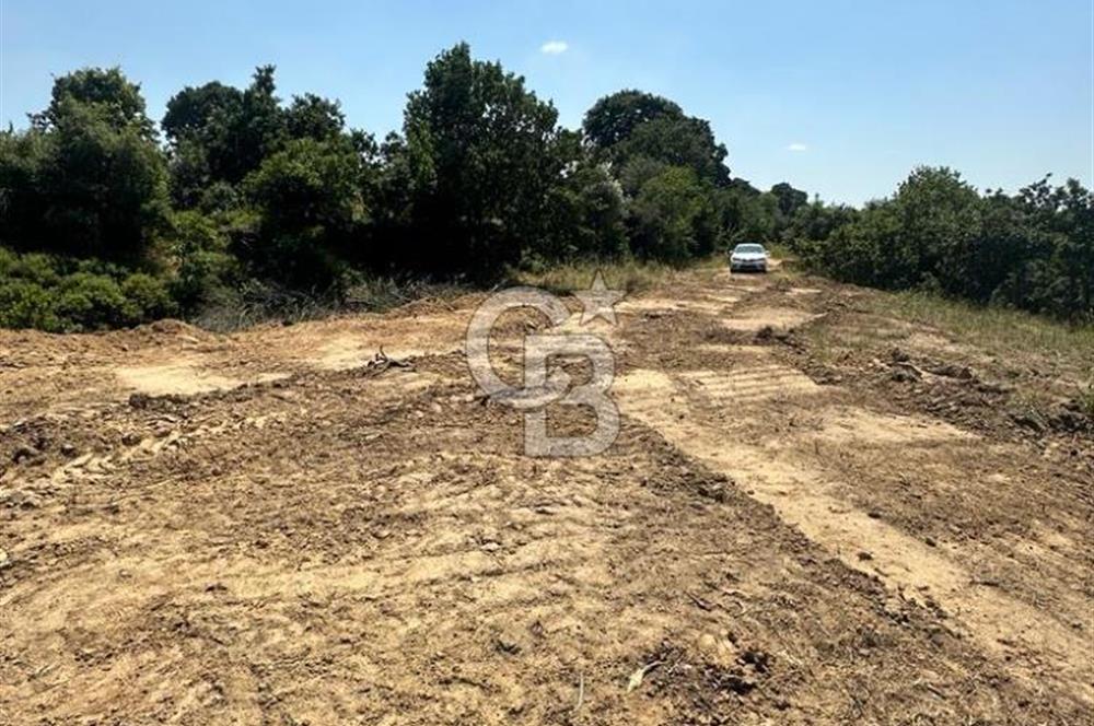 LAPSEKİ GÜRECİ KÖYÜNE YAKIN 4305 MT2 TEK TAPU ARSA